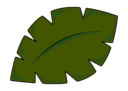Jungle Leaf