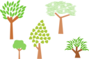 Trees