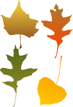 Autumn Leaf Selection