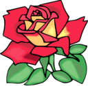 Red Rose