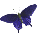 download Butterfly Papilio Philenor Top clipart image with 45 hue color
