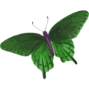 download Butterfly Papilio Philenor Top clipart image with 270 hue color