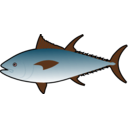 download Thunfish clipart image with 315 hue color