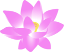 Lotus Blossom