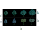 download Isometric Tree clipart image with 90 hue color