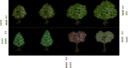 Isometric Tree