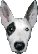 Highres Bullterrier Head