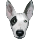 download Highres Bullterrier Head clipart image with 0 hue color
