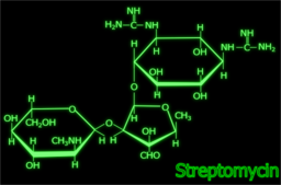 Streptomycin Structure