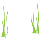 download Reeds clipart image with 0 hue color