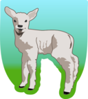 Young Lamb