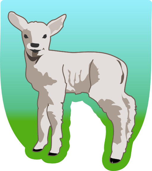 Young Lamb