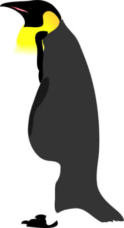 Architetto Pinguino 2
