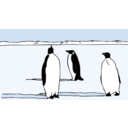 download Penguins clipart image with 0 hue color