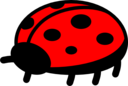 Ladybug