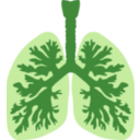 download Lungs And Bronchus clipart image with 90 hue color