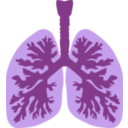 download Lungs And Bronchus clipart image with 270 hue color