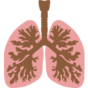download Lungs And Bronchus clipart image with 0 hue color
