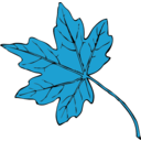 download Maple Leaf clipart image with 180 hue color