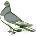 download Pigeon Illustration clipart image with 45 hue color