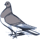 download Pigeon Illustration clipart image with 180 hue color