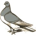 download Pigeon Illustration clipart image with 0 hue color