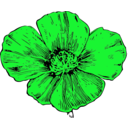 download California Poppy clipart image with 90 hue color