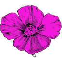 download California Poppy clipart image with 270 hue color