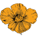 download California Poppy clipart image with 0 hue color