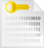 Encrypted File Icon