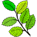 download Summer Leaves clipart image with 0 hue color