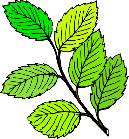 Summer Leaves Clipart I2clipart Royalty Free Public Domain Clipart