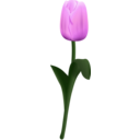 download Tulpe Tultip clipart image with 315 hue color
