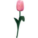 download Tulpe Tultip clipart image with 0 hue color