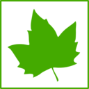 Eco Green Leaf Icon