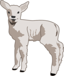 Young Lamb