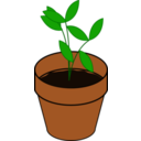 download Plant Terracotta clipart image with 0 hue color