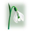 download Flowers Snowdrop clipart image with 45 hue color
