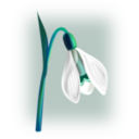 download Flowers Snowdrop clipart image with 90 hue color
