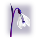 download Flowers Snowdrop clipart image with 180 hue color