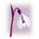 download Flowers Snowdrop clipart image with 225 hue color