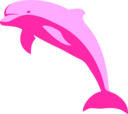 Delphin Delfin Dolphin