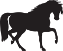 Horse Silhouette