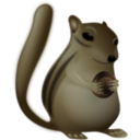 download Chipmunk Very Fat clipart image with 0 hue color