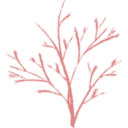 download Tree clipart image with 0 hue color
