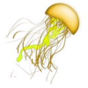 download Remix Jellyfish clipart image with 45 hue color