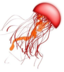 Remix Jellyfish