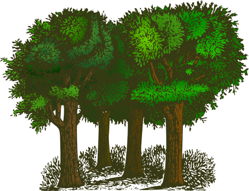 Colorized Group Of Trees Clipart | i2Clipart - Royalty Free Public