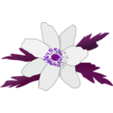 download Anemone Nemorosa clipart image with 225 hue color