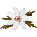 download Anemone Nemorosa clipart image with 315 hue color